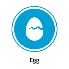 Eggs
